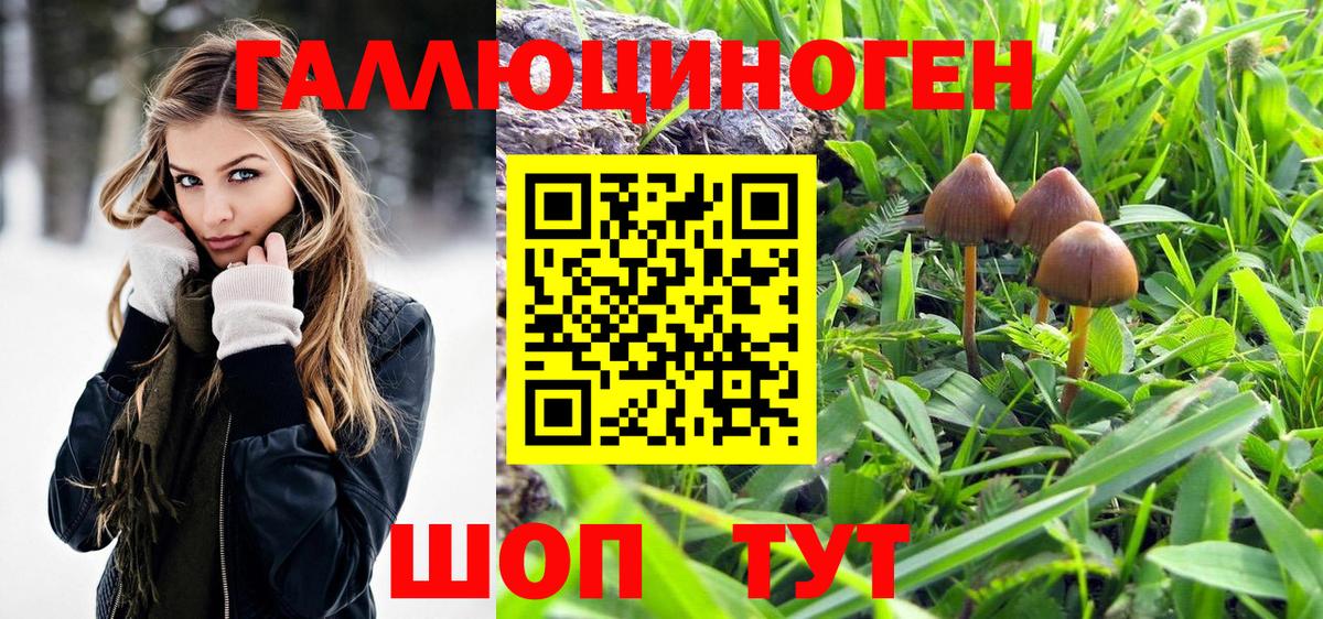 Псилоцибиновые грибы GOLDEN TEACHER  Вход с VPN  Электросталь 